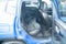 2023 Jeep Compass Altitude 4x4