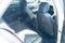 2023 Buick Envision Essence FWD